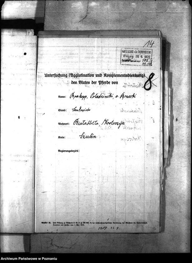 Obraz 18 z jednostki "Nosacizna - Szubin"