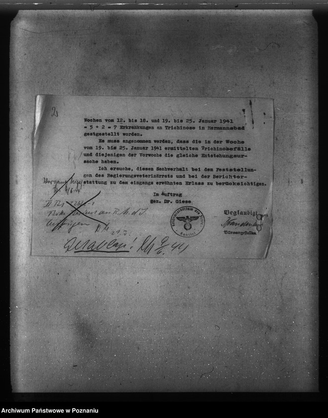 Obraz 6 z jednostki "Trichinose, Typhus"