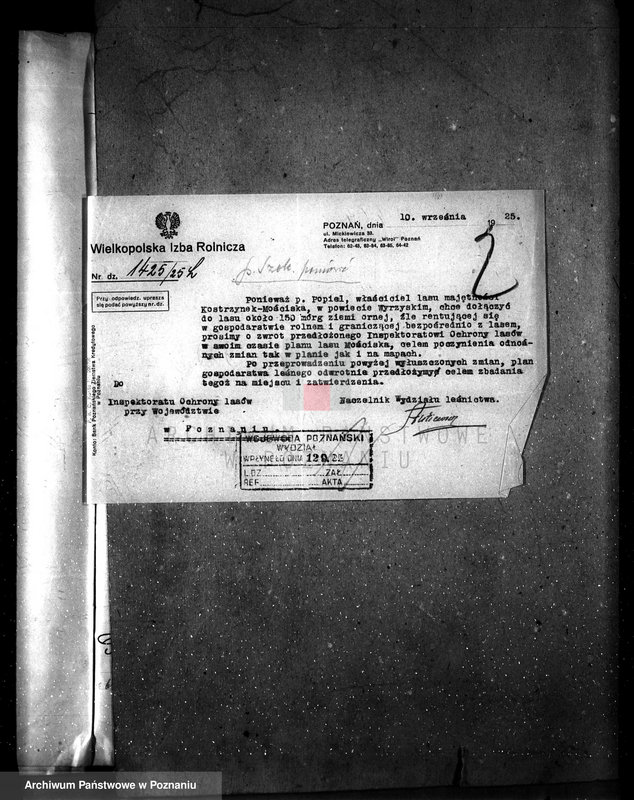 Obraz 6 z jednostki "Majętność leśna Kostrzynek-Mościska powiat wyrzyski"