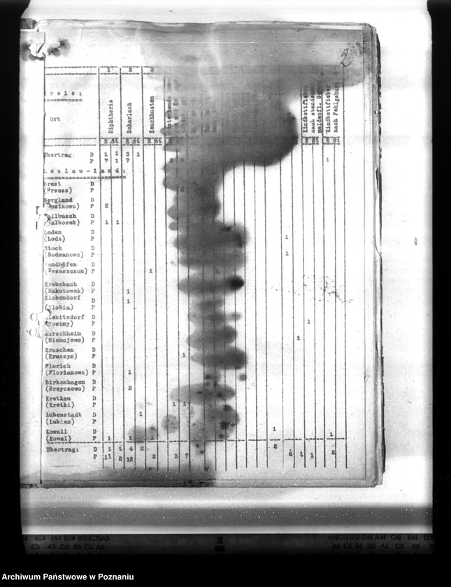 Obraz 6 z jednostki "Statistik der Krankheiten im Wartheland"
