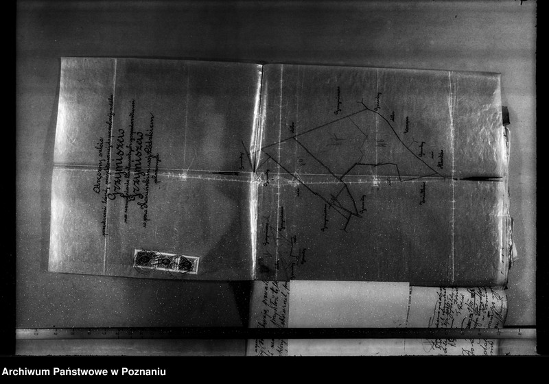 Obraz 20 z jednostki "Zmiana rodzaju użytkowania w związku z parcelacją 84 ha gruntów leśnych w majątku Grzymiszew powiat turecki"