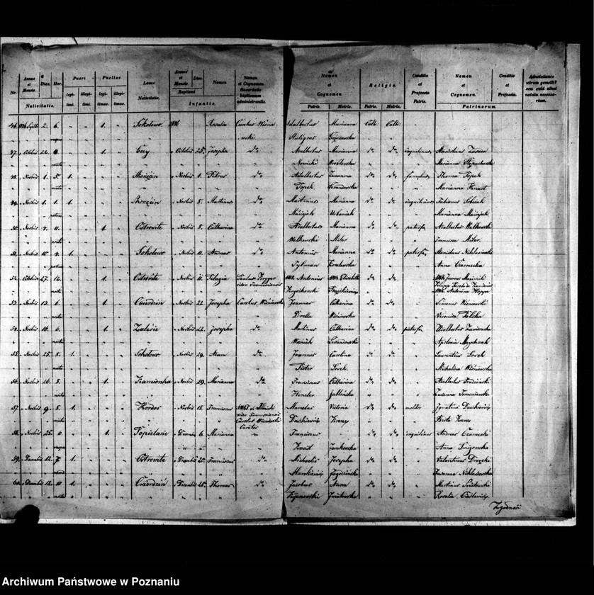 image.from.unit.number "Duplicatus baptisatorum, copulatorum, mortuorum"
