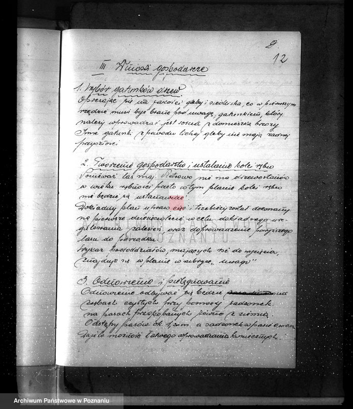 Obraz 16 z jednostki "Plan urządzenia gospodarstwa leśnego dla lasu majętności Piotrowo powiat szamotulski 1934-1944"