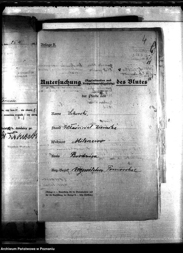 Obraz 8 z jednostki "Nosacizna - Brodnica"