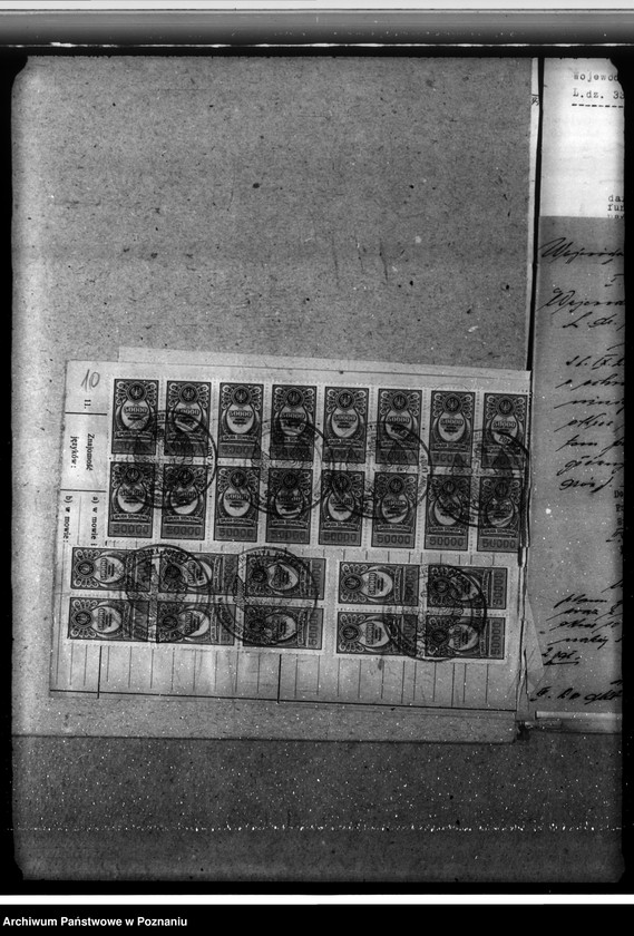 Obraz 14 z jednostki "Las fundacyjny Bodzewo w powiecie gostyńskim"