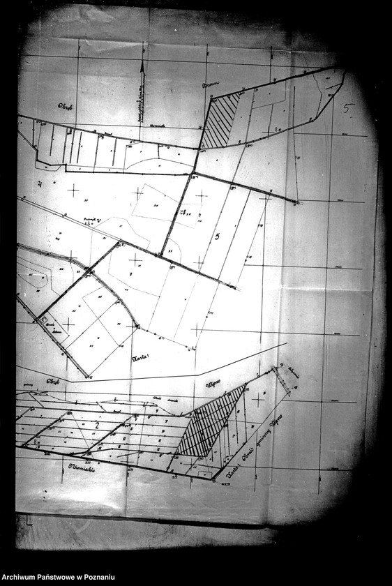 Obraz 10 z jednostki "Przewłaszczenie ziem dotacyjnych majątku Radomyśl powiatu leszczyńskiego"