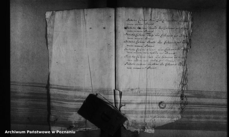 Obraz 4 z jednostki "Decreta officii [protocollon]"