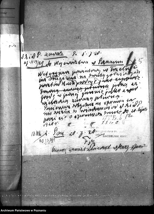 Obraz 9 z jednostki "Zaraza płucna - Strzelno"