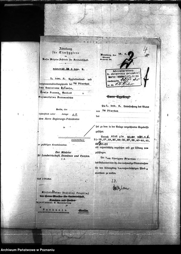 Obraz 8 z jednostki "Nosacizna - Poznań-Wschód"