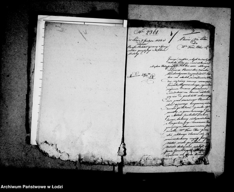 Obraz 7 z jednostki "Akta tyczące się zdawania rapportów o przybywających do miasta tutejszego cudzoziemcach"