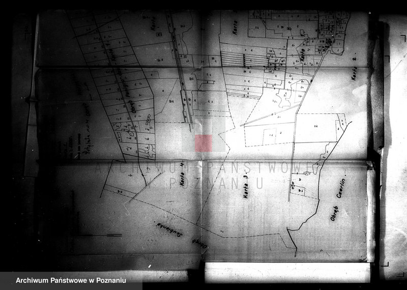 Obraz 9 z jednostki "Przewłaszczenie ziem dotacyjnych Panigródz powiat wągrowieckiego"