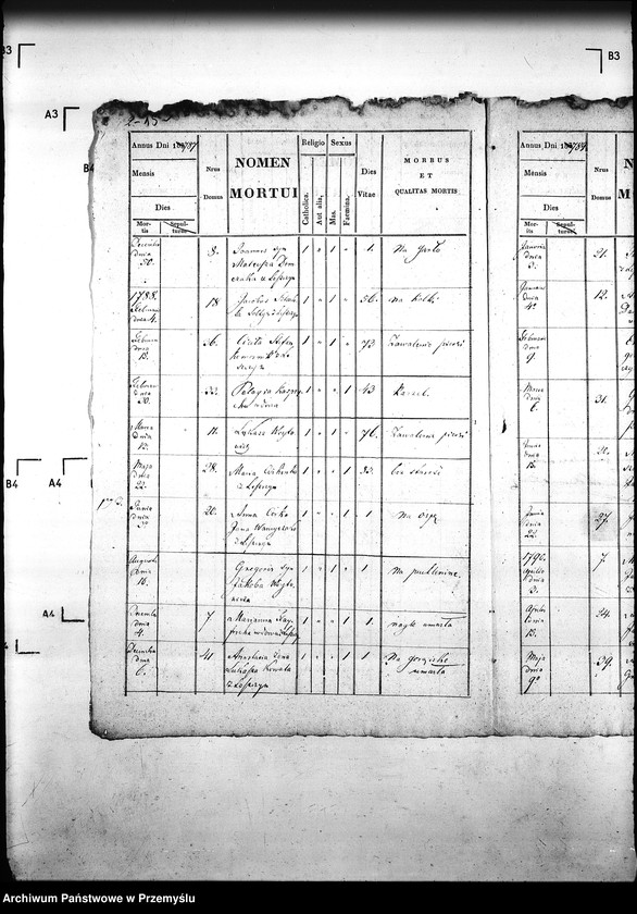 image.from.unit.number "[Kopie ksiąg metrykalnych parafii Leszczyny z filiami Bielanka, Kuńkowa (dekanat Gorlice)]"
