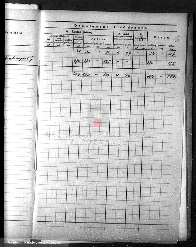 Obraz 20 z jednostki "/Nadzór nad gospodarką leśną gminy miasta Czarnkowa"