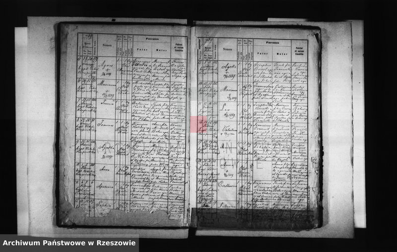 image.from.unit.number "Księga urodzeń - Kąkolówka"