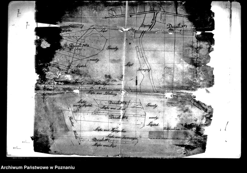 Obraz 9 z jednostki "/Szkic ogólnych wytycznych projektu scalenia wsi Wielodwór powiatu konińskiego oraz plan gruntów wsi Wielodwór/"