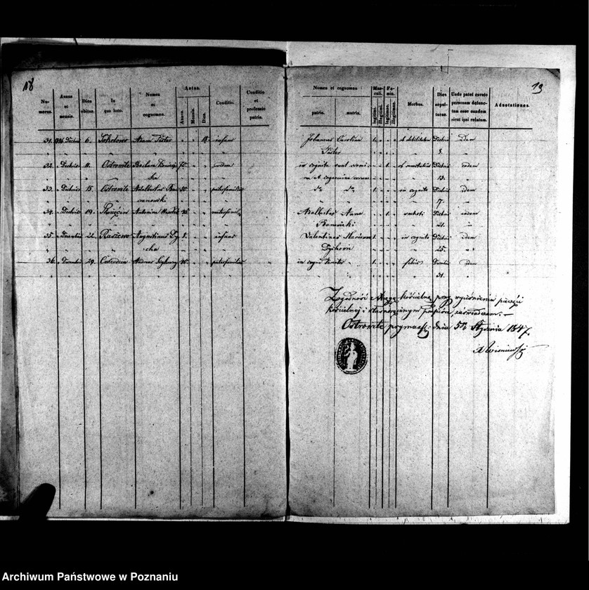 image.from.unit.number "Duplicatus baptisatorum, copulatorum, mortuorum"