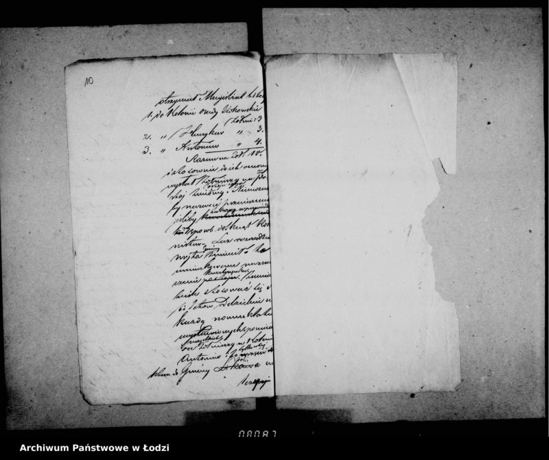 Obraz 11 z jednostki "Akta tyczące się konsystencji wojska"