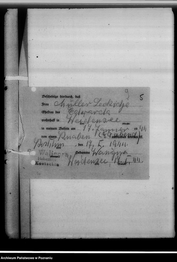 Obraz 13 z jednostki "Sammelakten zum Geburtenbuch [zgłoszenia urządzeń]"