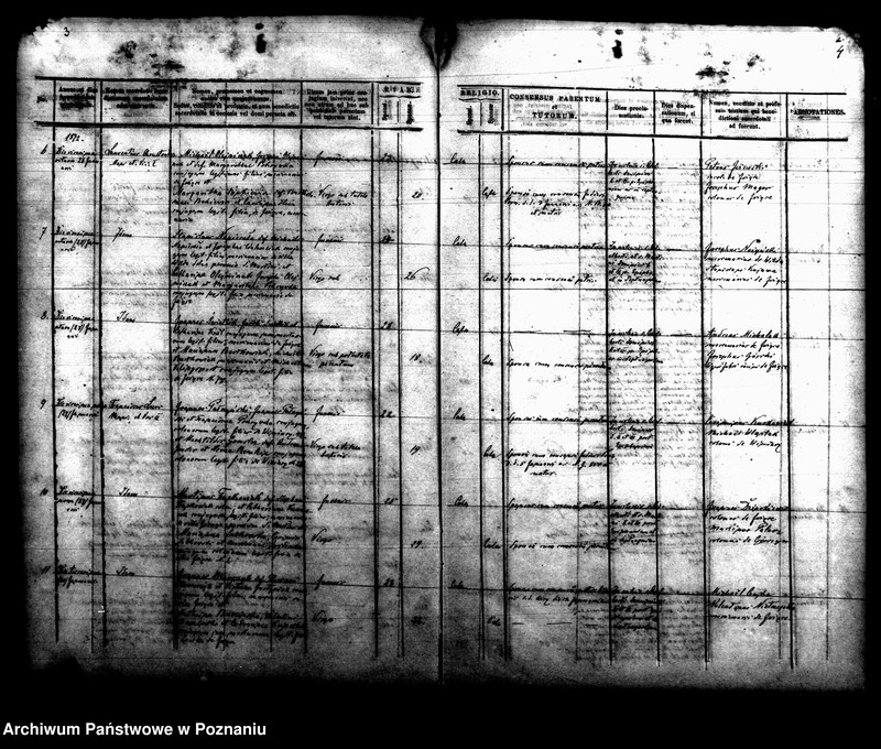 Obraz 5 z jednostki "Księga małżeństw"