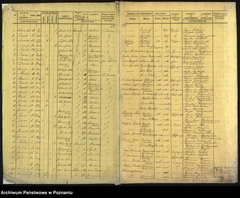 Obraz 4 z jednostki "Księga urodzin"