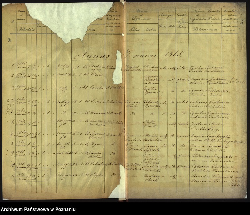 Obraz 4 z jednostki "Księga urodzin"