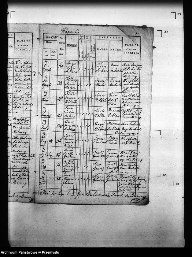 Obraz 7 z jednostki "[Kopie ksiąg metrykalnych parafii Szandrowiec (dekanat Turka)]"