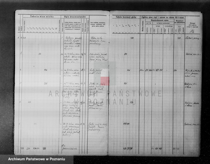 Obraz 19 z jednostki "/Nadzór nad gospodarką leśną w majętności Hutka w powiecie czarnkowskim"