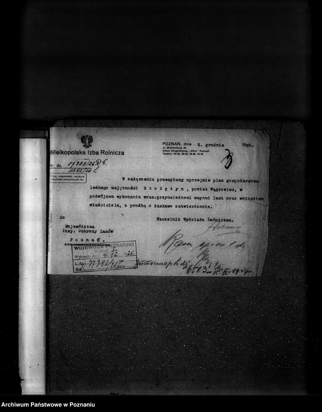 Obraz 7 z jednostki "Majętność leśna Stołężyn powiat wągrowiecki"