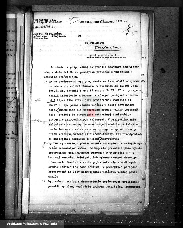 Obraz 10 z jednostki "Nadzór nad gospodarką leśną w lasach majętności Stajkowo powiecie czarnkowskim"