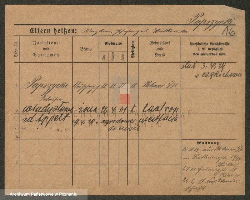 Obraz 16 z jednostki "Paprzycki - Pasiak"