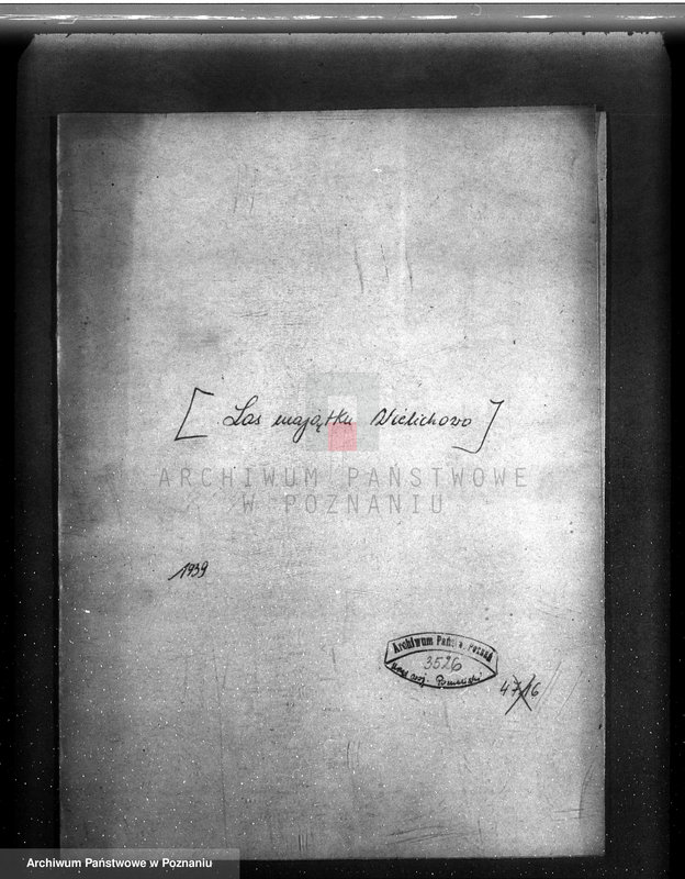 Obraz 4 z jednostki "/Las majątku Wielichowo/"