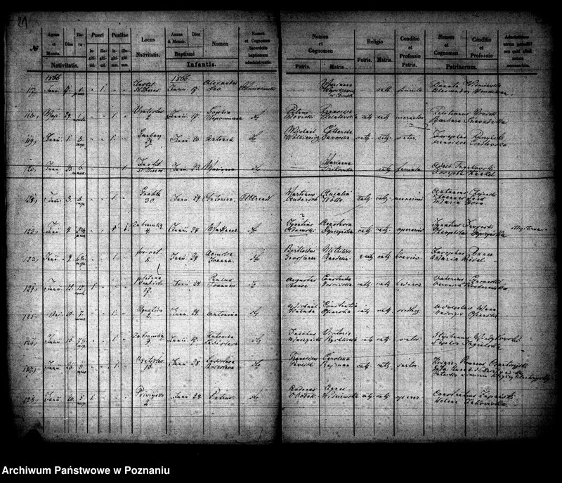 Obraz 12 z jednostki "Księga urodzin"