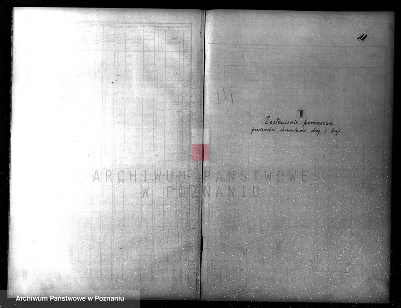 Obraz 12 z jednostki "Plan gospodarczy lasów Wydziału Wielichowo Teresy ks. Lubomirskiej na dziesięciolecie 1935/36-1944/45"