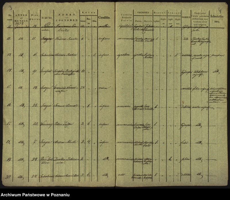 Obraz 5 z jednostki "Księga zgonów"