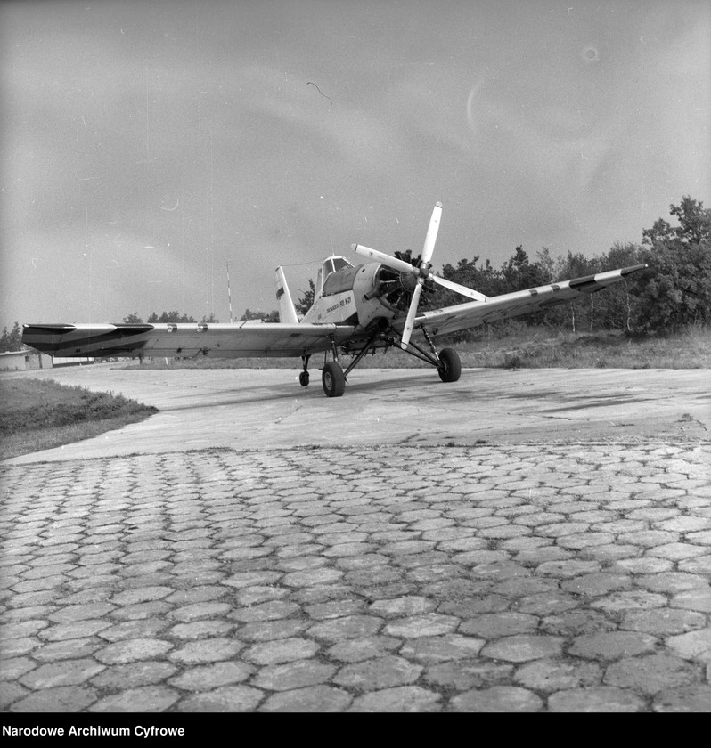 Obraz 5 z jednostki "Samoloty PZL M21 Dromader Mini "