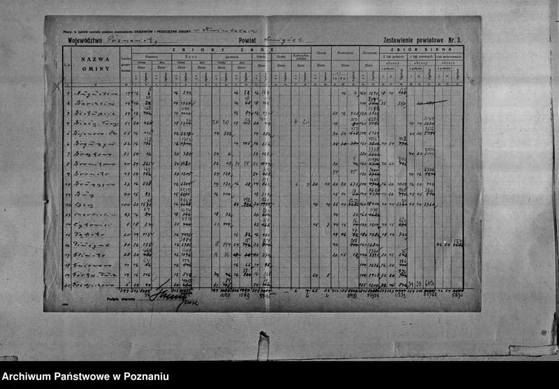 Obraz 6 z jednostki "/Statystyka produkcji rolnej - zestawienie powiatowe - Śmigiel"
