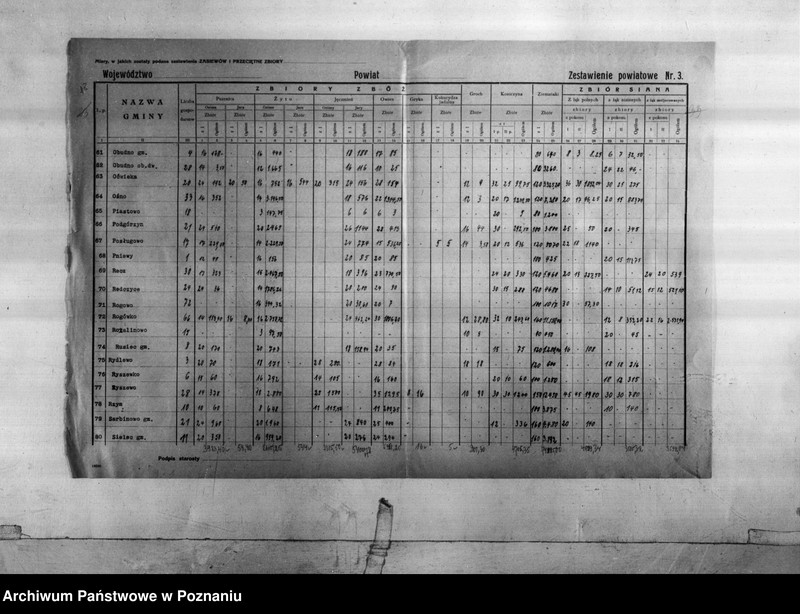 Obraz 19 z jednostki "Statystyka produkcji rolnej - zestawienie z powiatu żnińskiego"