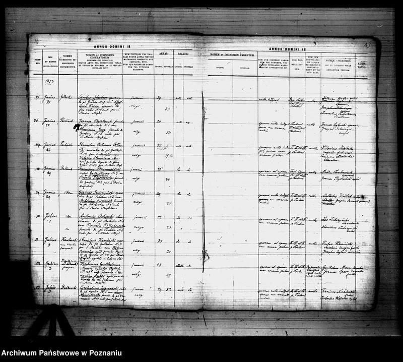 Obraz 7 z jednostki "Księga małżeństw"