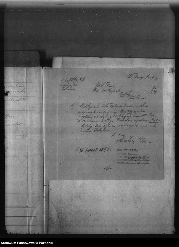 Obraz 20 z jednostki "Bolechowo powiat poznański /nadzór nad gospodarką leśną/"