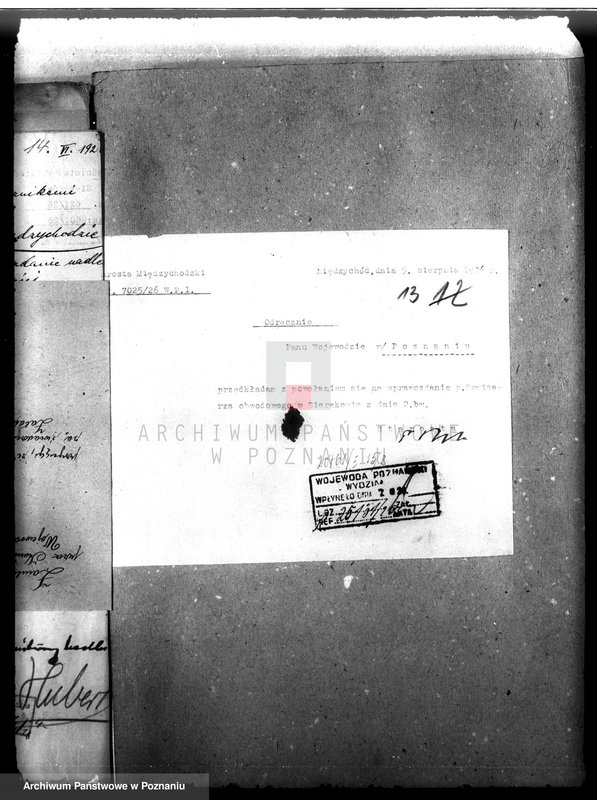 Obraz 18 z jednostki "Majętność leśna Chalin powiat międzychodzki"