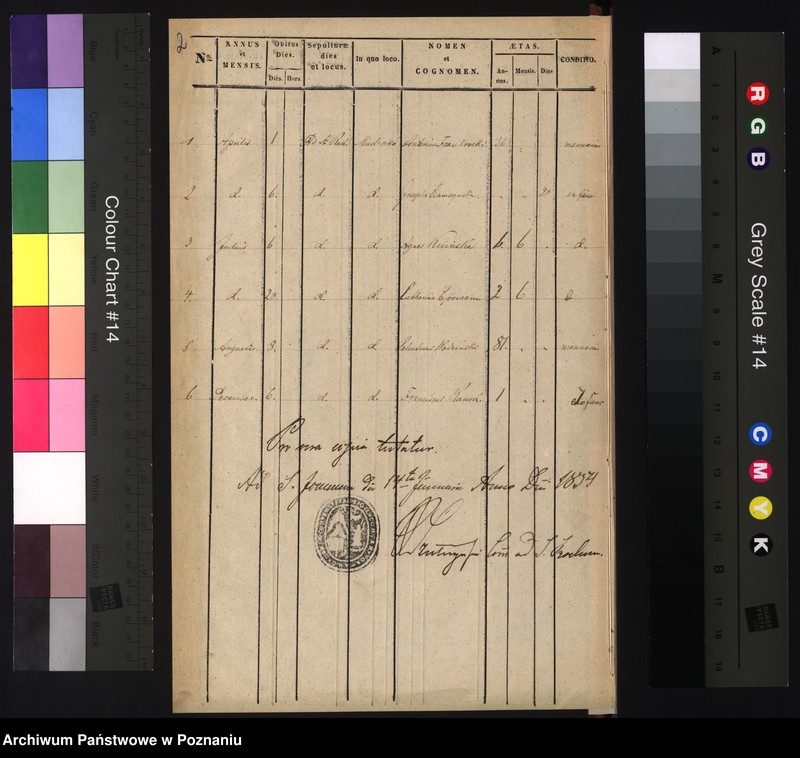 Obraz 4 z jednostki "Duplicat mortuorum"