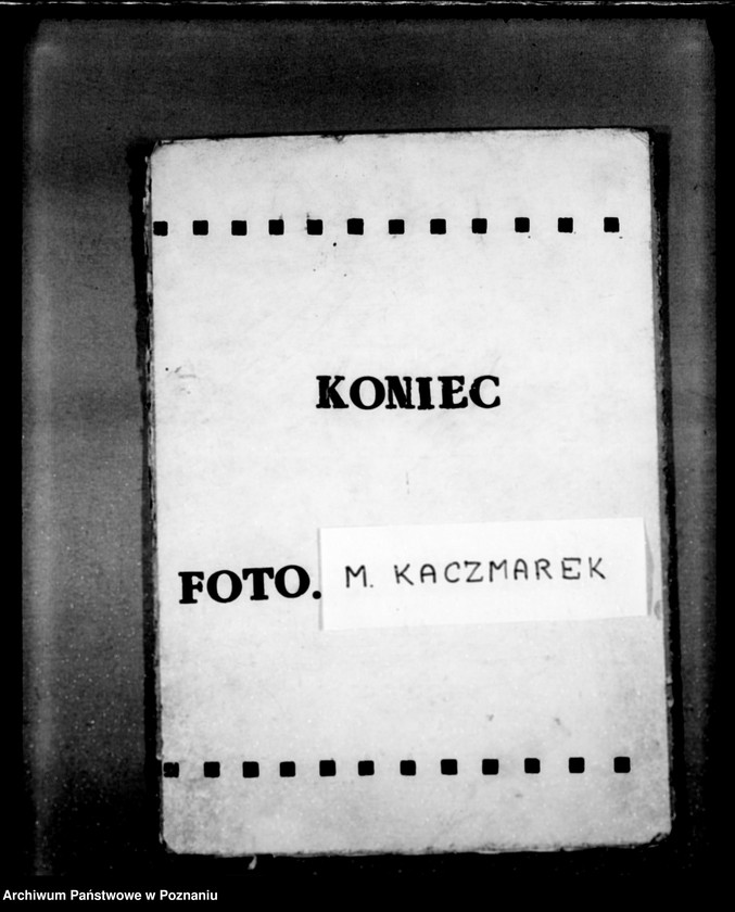 Obraz 7 z jednostki "Las majętności Stępuchowo powiat wągrowiecki"