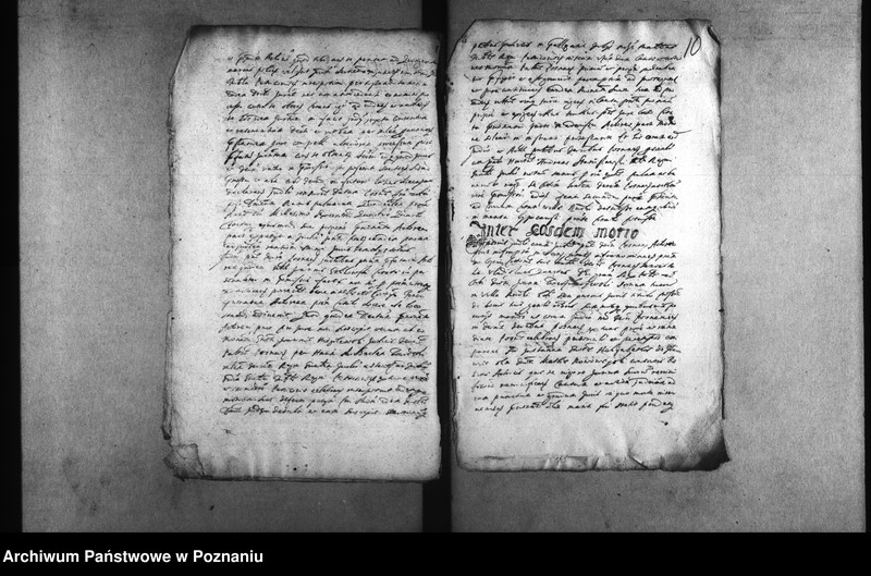 Obraz 14 z jednostki "Decreta [inducta]"