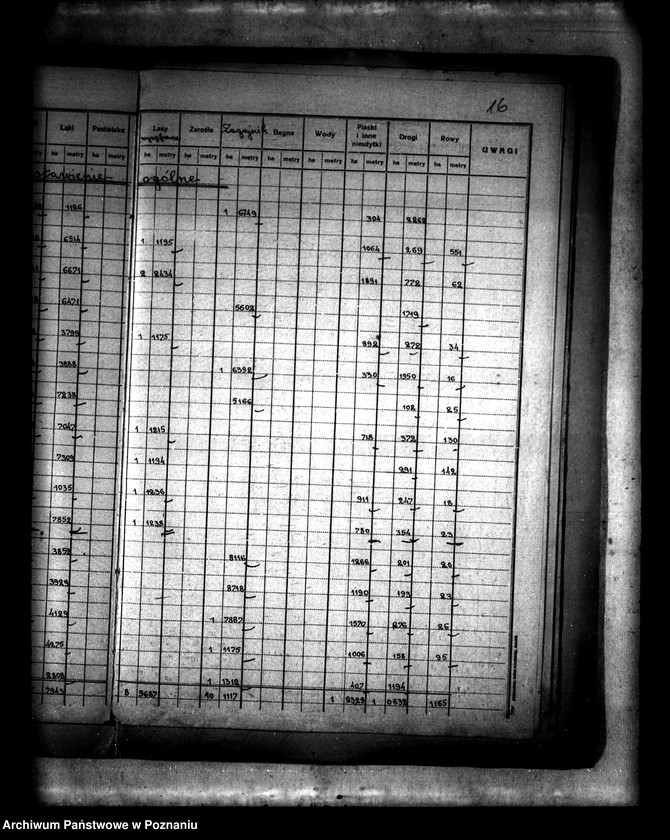 Obraz 20 z jednostki "Rejestry pomiarowe gruntów wydzielonych z majątku Łukom i oddanych w zamian za serwituty na własność wsi Myszakówek powiatu konińskiego"