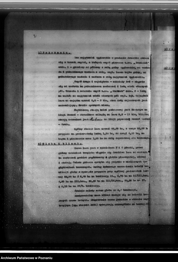 Obraz 6 z jednostki "Majętność leśna Węgierskie powiat średzki [opis lasu i plan cięć]"