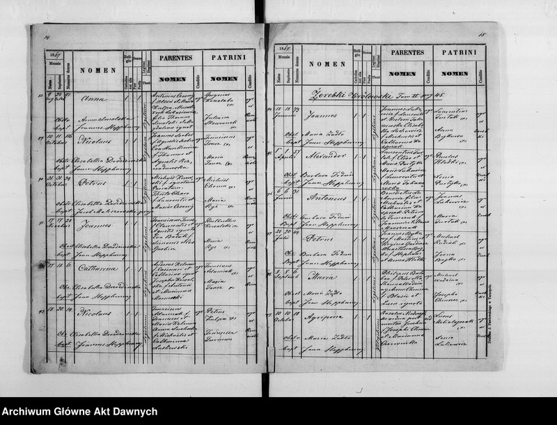 image.from.unit.number "Parafia: Hałuszczyńce. Dekanat: Skałat. Księga metrykalna urodzeń, ślubów i zgonów dla wsi: Hałuszczyńce*, Chmieliska*, Chodaczków Mały**, Konstantynówka, Romanowe Sioło, Żerebki Królewskie, Żerebki Szlacheckie."