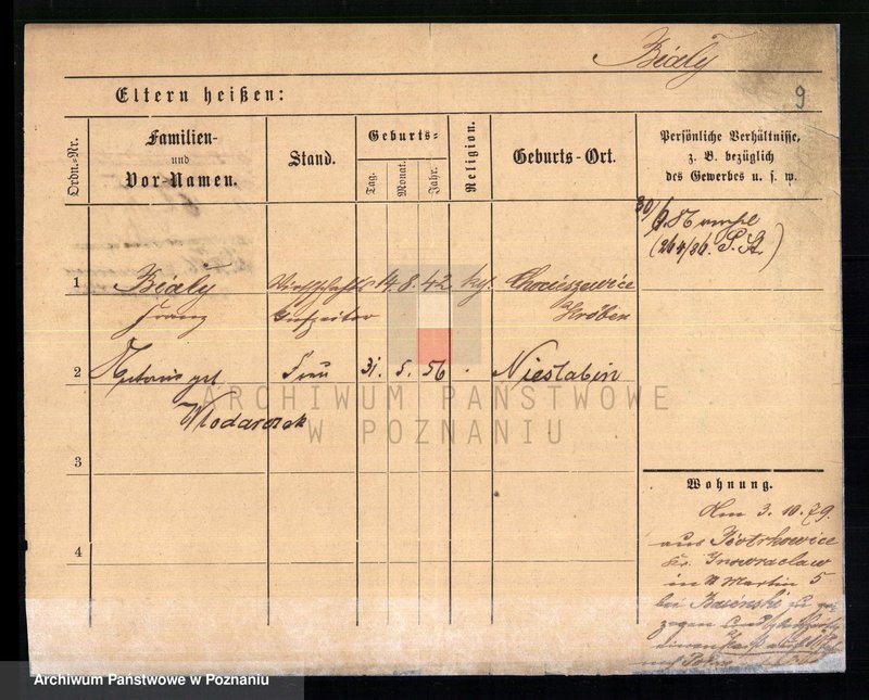 Obraz 13 z jednostki "Biały - Biedowicz"