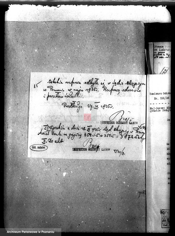 Obraz 19 z jednostki "Las majątku Borowy Młyn powiat międzychodzki"