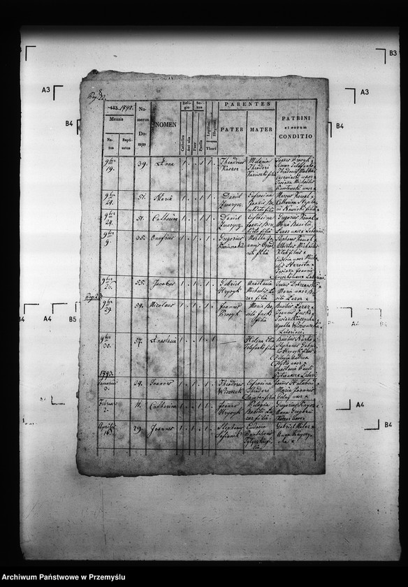 Obraz 12 z jednostki "[Kopie ksiąg metrykalnych parafii Drozdowice z filiami Stroniowice, Wielunice (dekanat Niżankowice)]"
