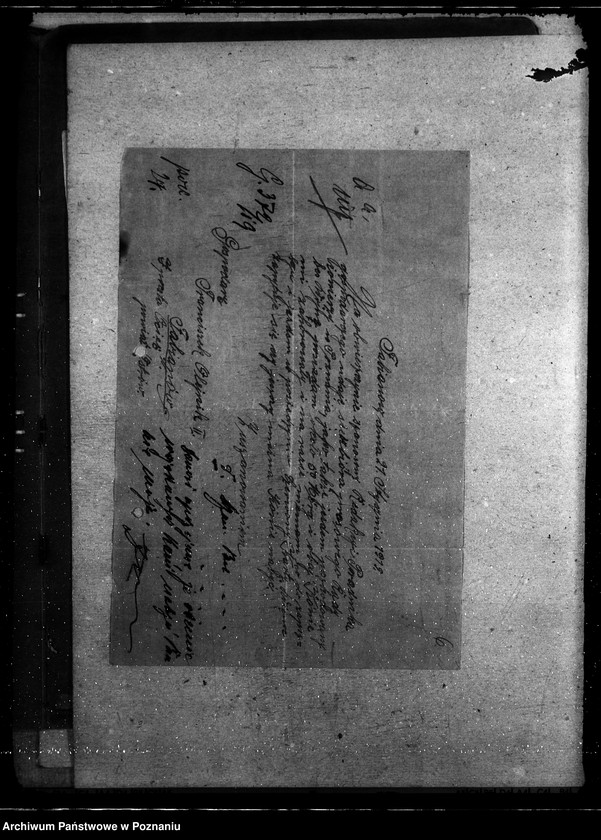 Obraz 10 z jednostki "Informacja o rolnictwie"